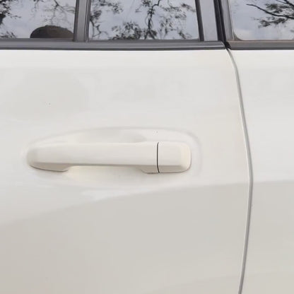 Car Door Frame Step